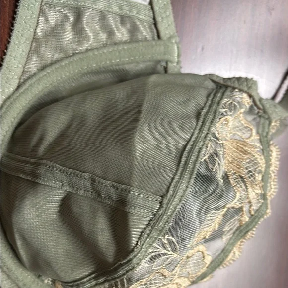 Fantasie Olive Green Lace Bra - Picture 9 of 10